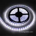 LED LETH Light 220V IP65180 LEDS / M SMD 2835